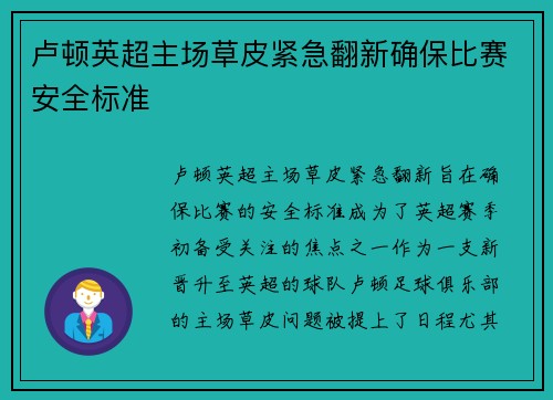 卢顿英超主场草皮紧急翻新确保比赛安全标准